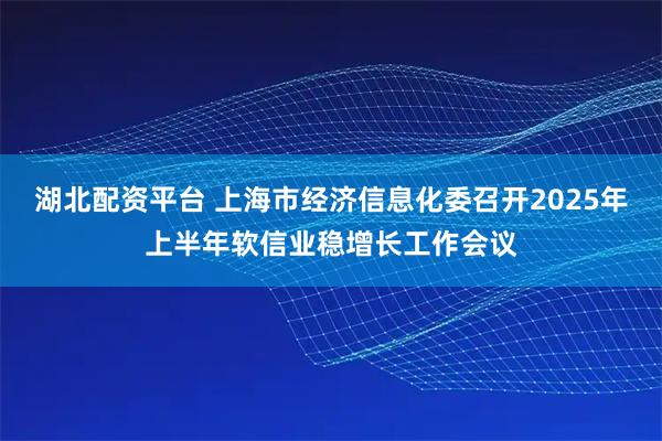 湖北配资平台 上海市经济信息化委召开2025年上半年软信业稳增长工作会议