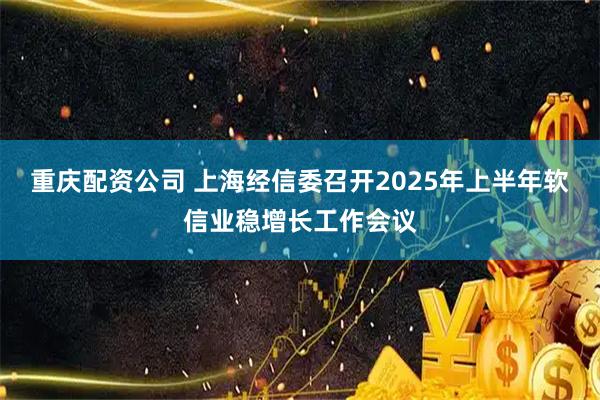 重庆配资公司 上海经信委召开2025年上半年软信业稳增长工作会议