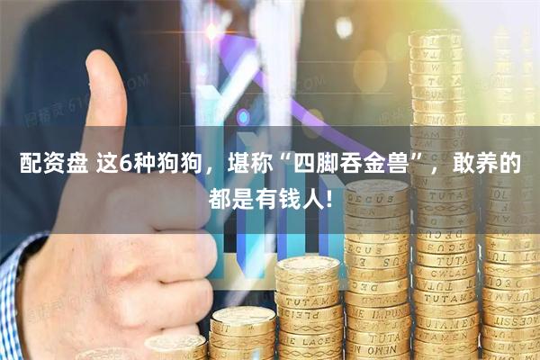 配资盘 这6种狗狗，堪称“四脚吞金兽”，敢养的都是有钱人!